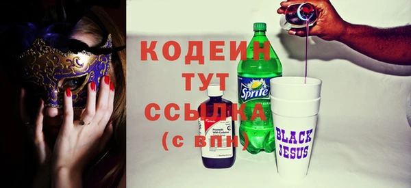 спиды Бородино