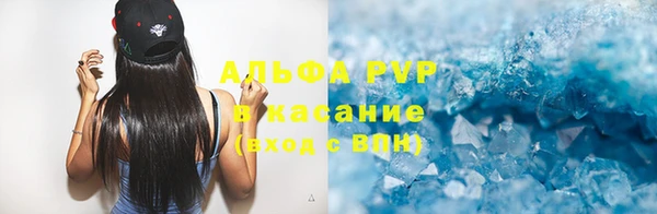 спиды Бородино