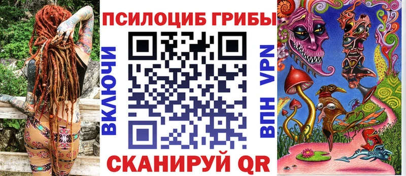 Псилоцибиновые грибы мицелий  Шлиссельбург 